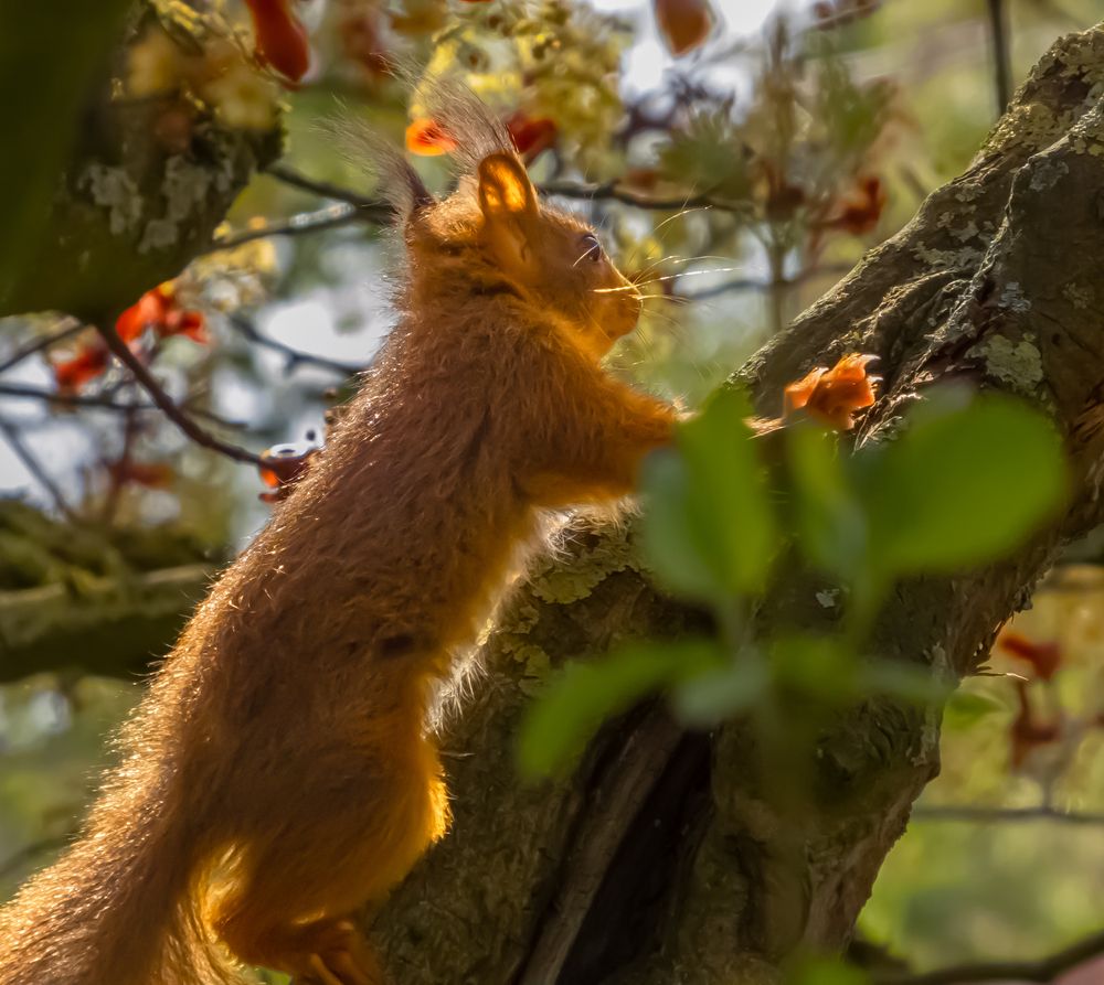 Photograph by Vitalii Kaznin