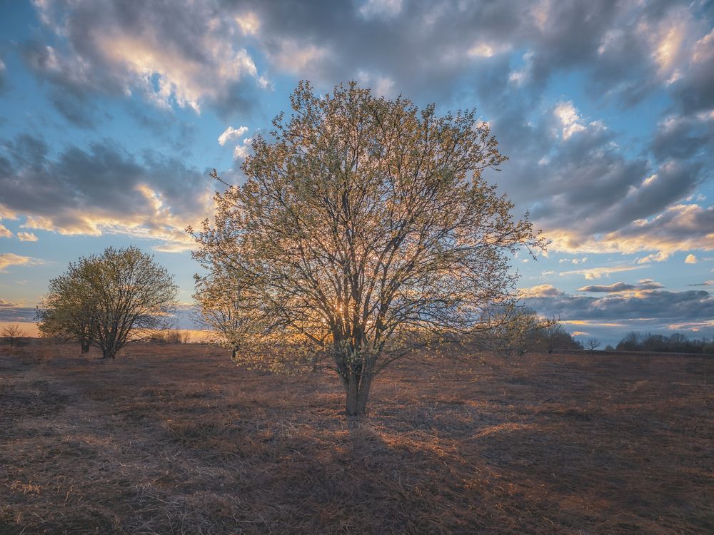 Photograph by Кирилл Сидоров