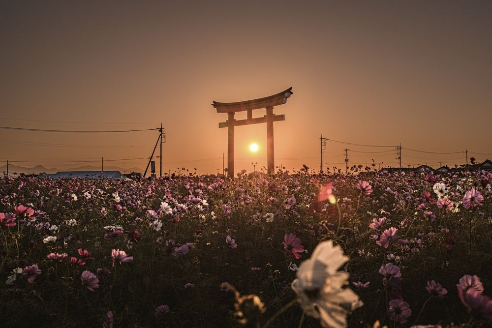 Photograph by Iwamoto Reina