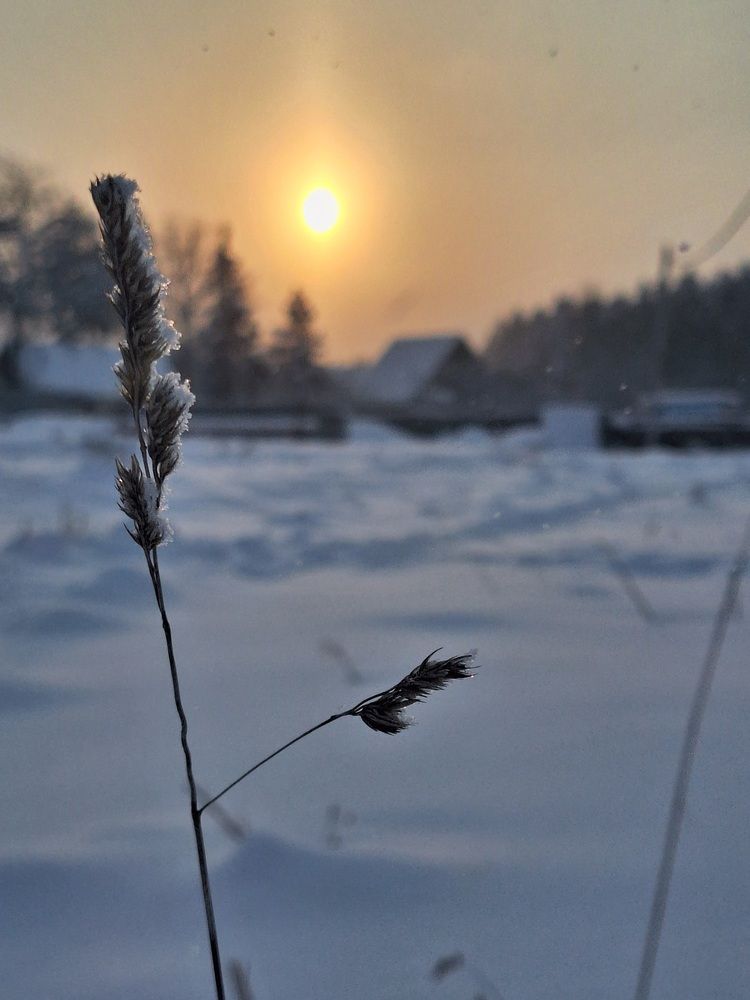 Photograph by Ольга Мольдон