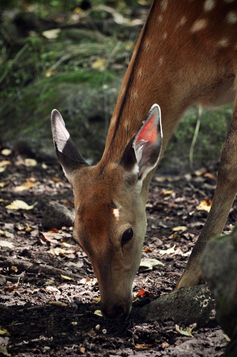 Photo #13517845