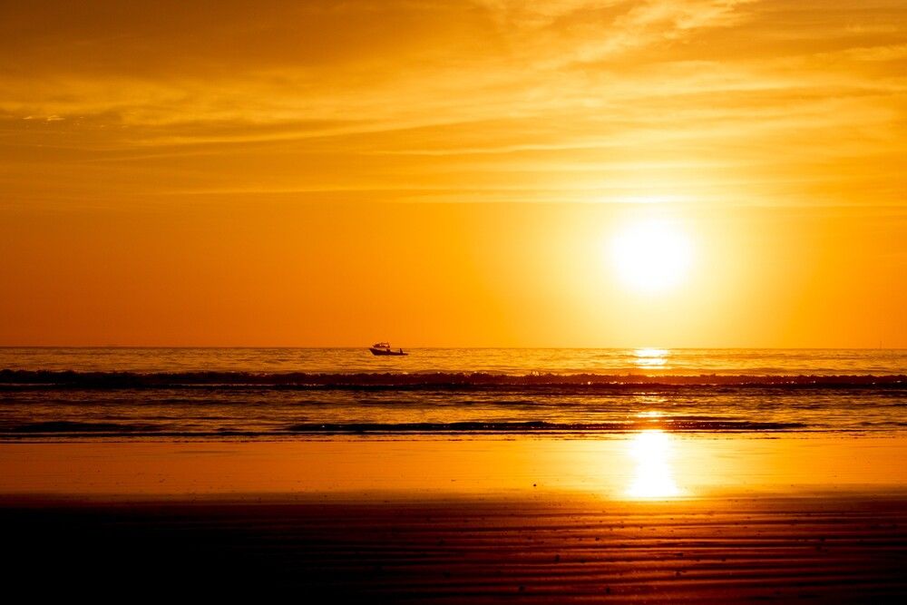 Photograph by Carmem D` Luca
