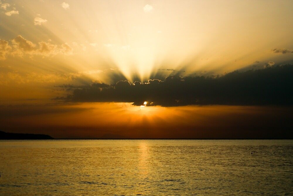 Photograph by Carmem D` Luca