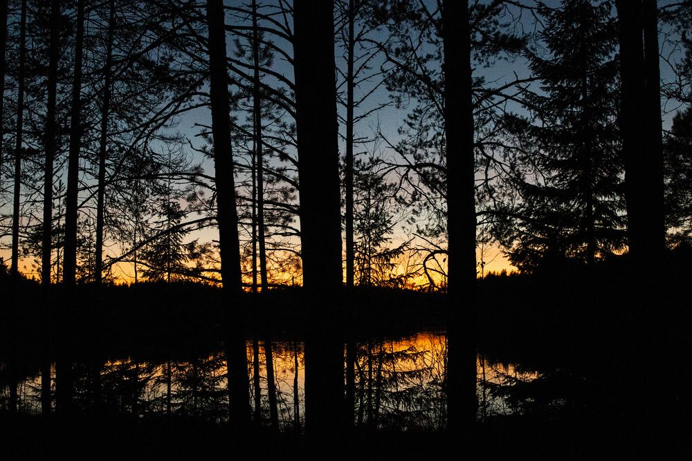Photograph by Бугаев Олег