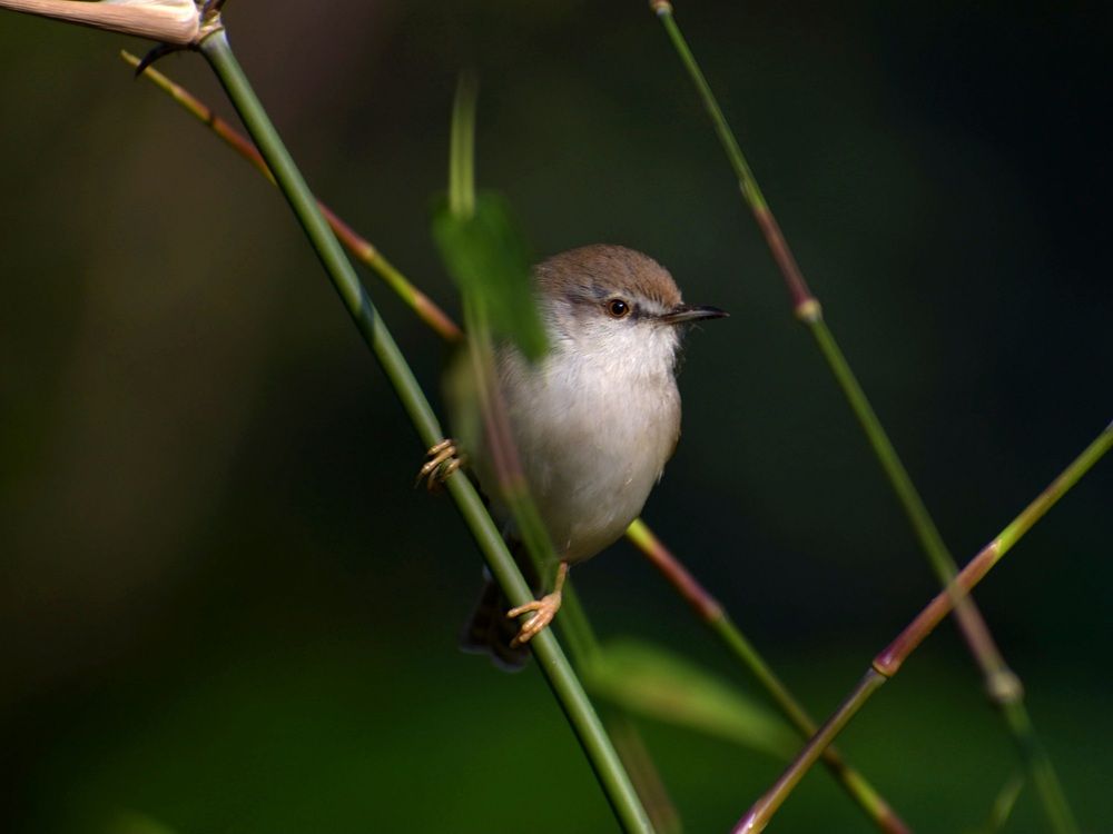 Photograph by V.l. Karthikeyan