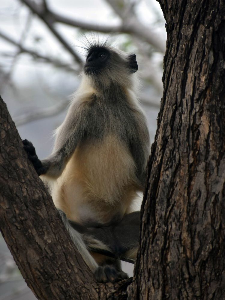 Photograph by V.l. Karthikeyan