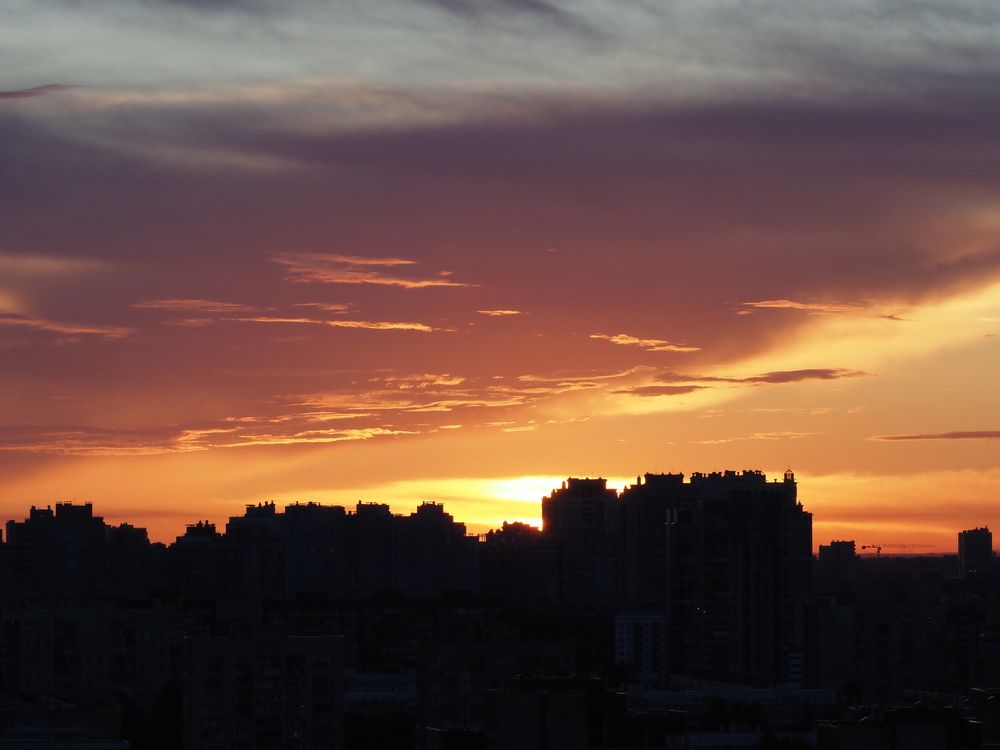 Photo #13518250