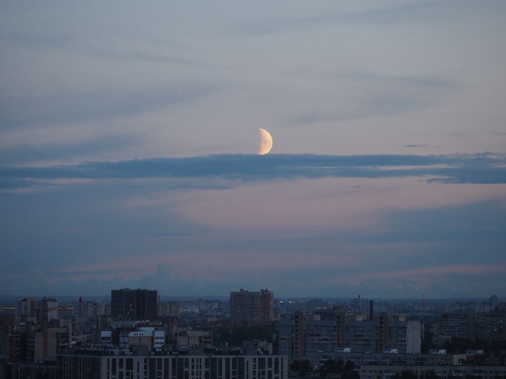 Photo #13518251
