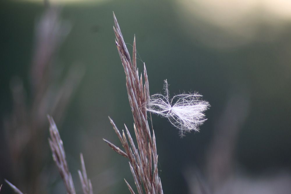 Photograph by Елена Наленч