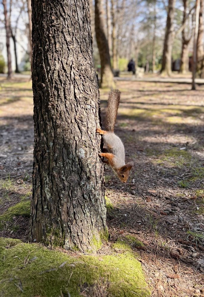 Photograph by Ольга