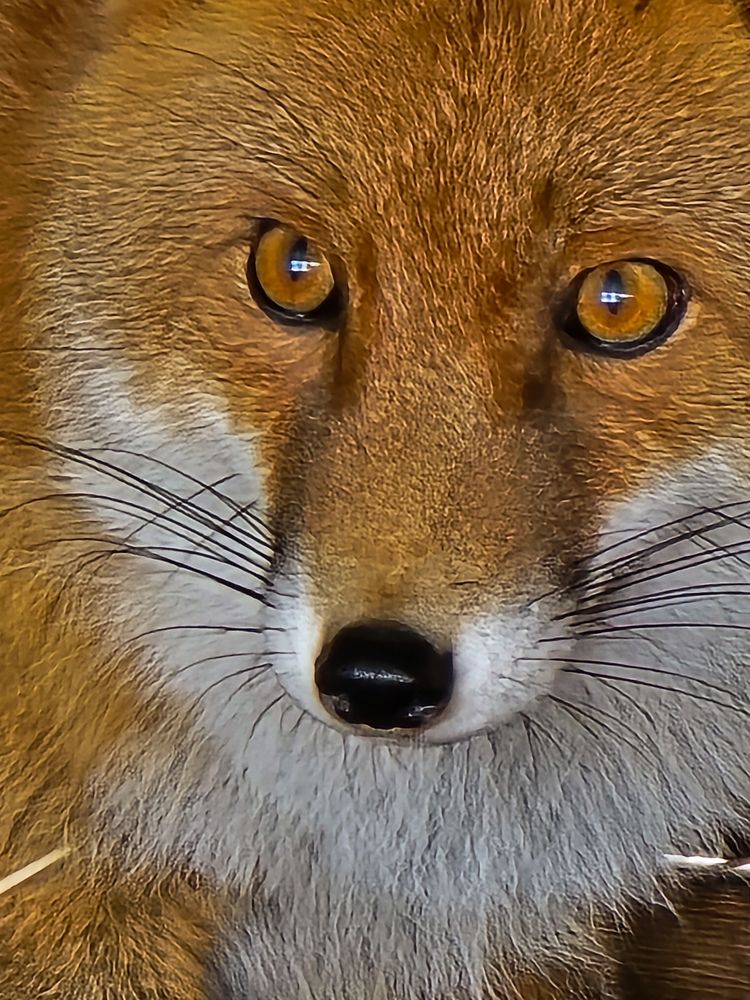 Photograph by Ирина Хлебникова