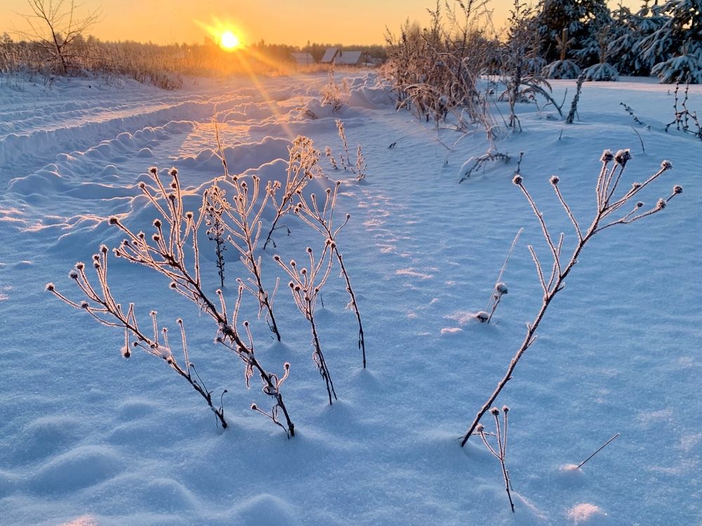 Photograph by Ионова Татьяна