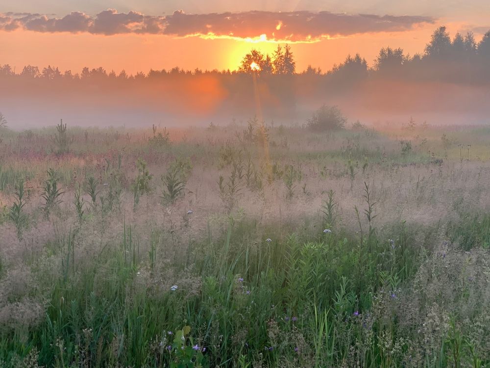 Photograph by Ионова Татьяна