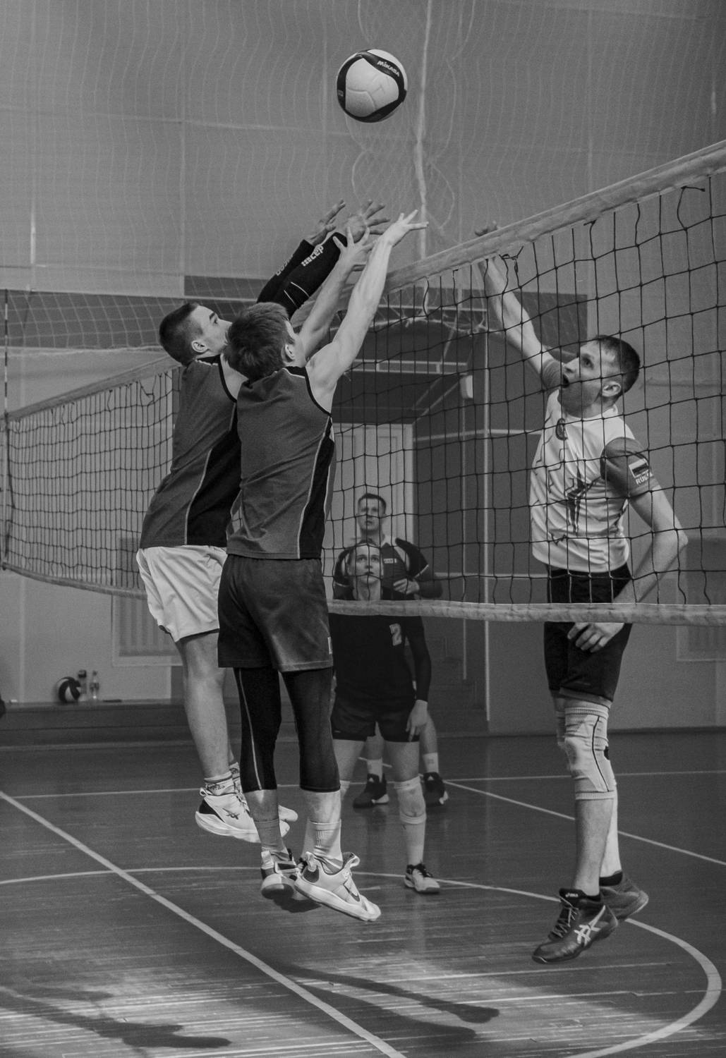 Фотография #13518829