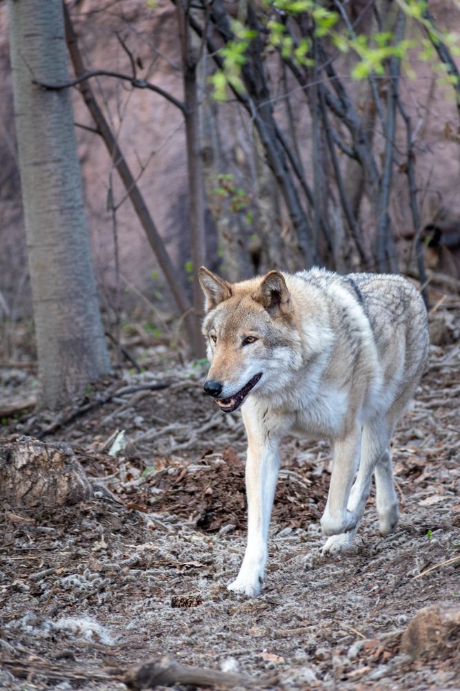 Photo #13519083