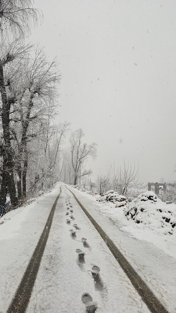 Snowfall Covers Road and Surroundings
