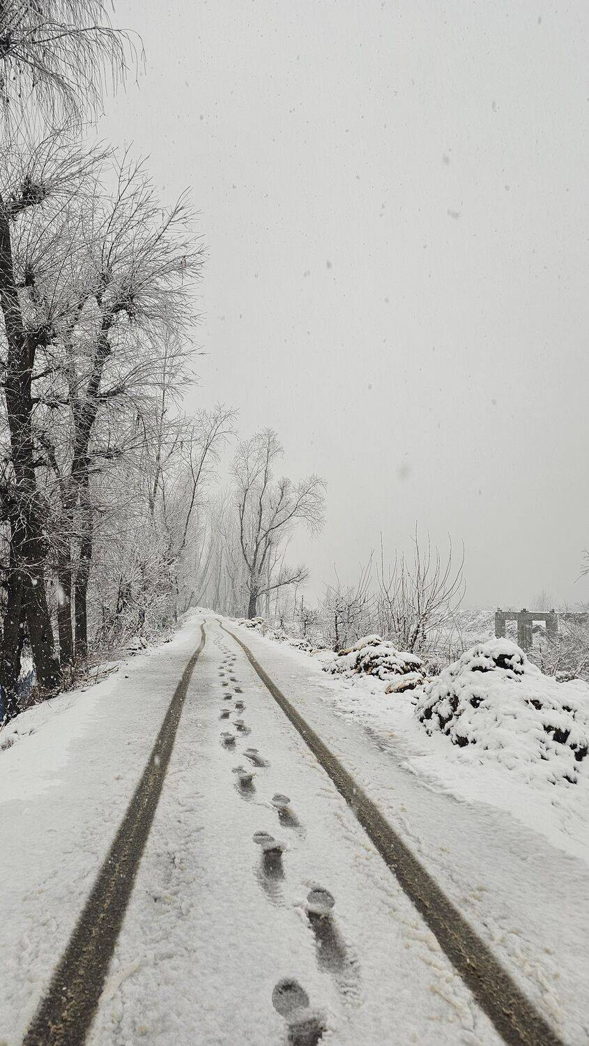 Snowfall Covers Road and Surroundings