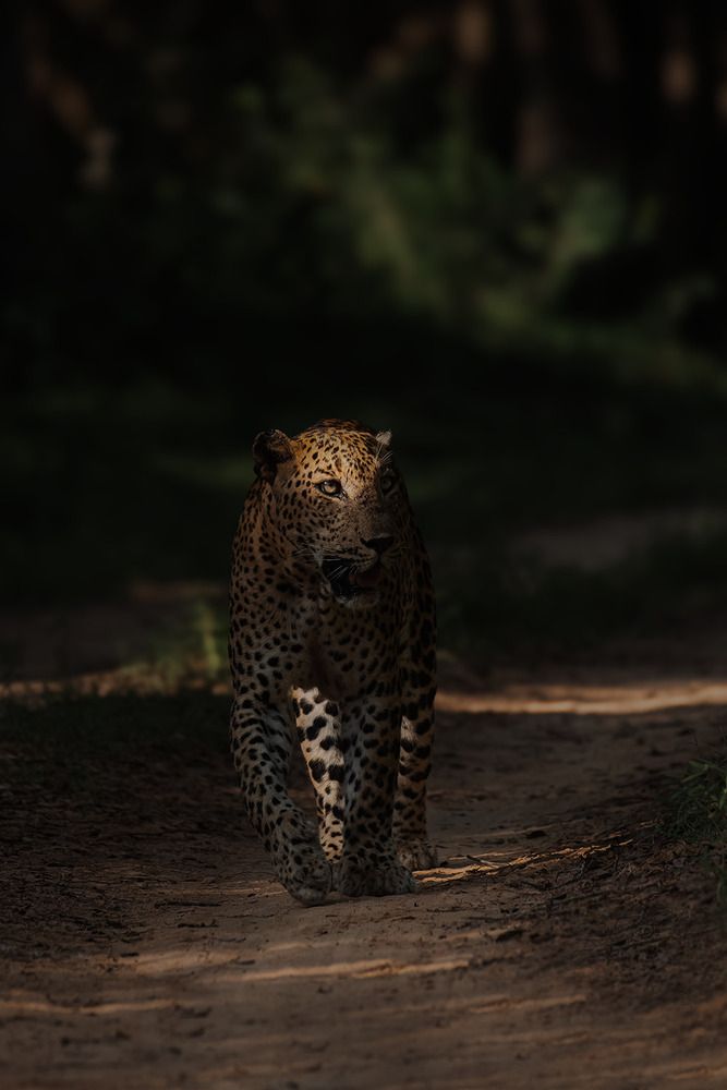 Photograph by Soban Raj