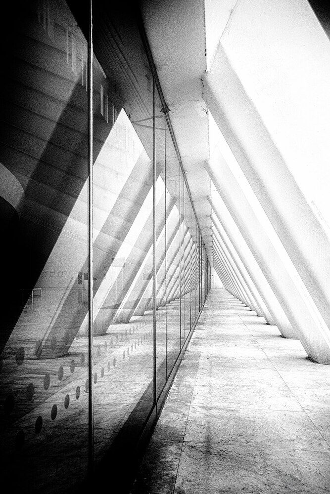 Photograph by Karolo Suárez