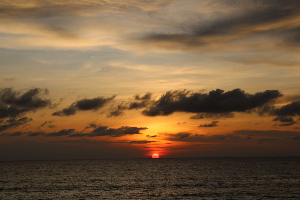 Photograph by Соколова Полина