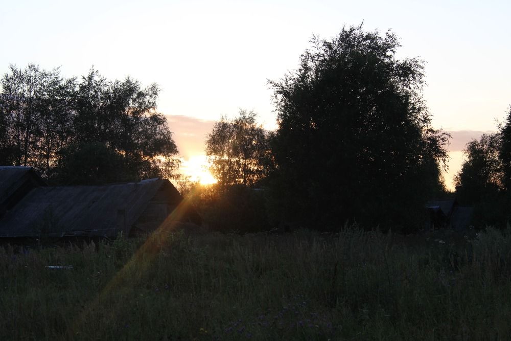 Photograph by Соколова Полина