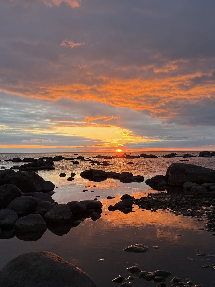 Photograph by Бондаренко Светлана