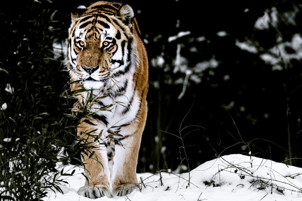 Photograph by Dani Wieczorek