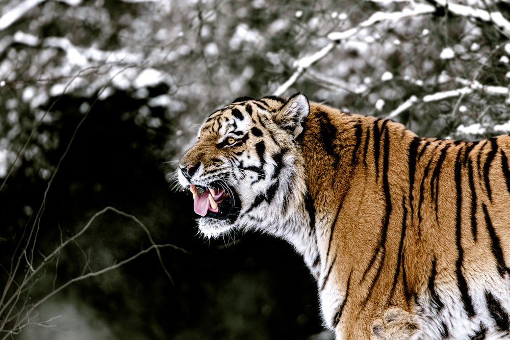 Photograph by Dani Wieczorek