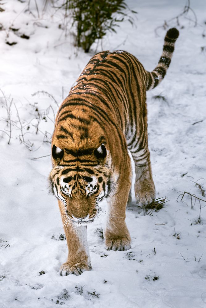 Photograph by Dani Wieczorek