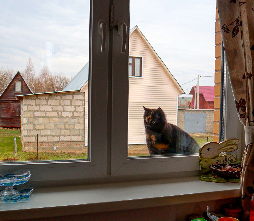 Photograph by Irina Ginbert