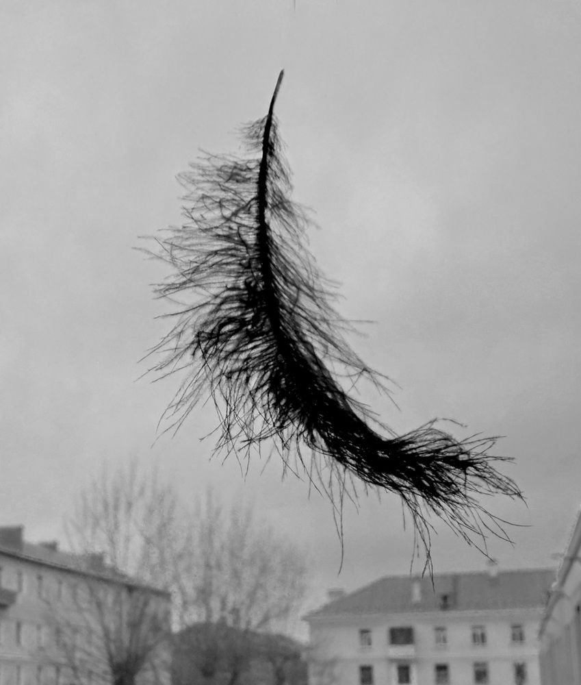 Photograph by Татьяна Шитлина