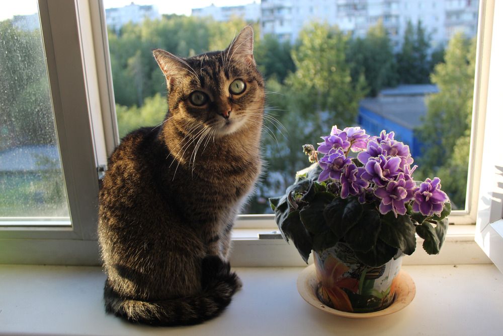 Photograph by Михаил Мархинин