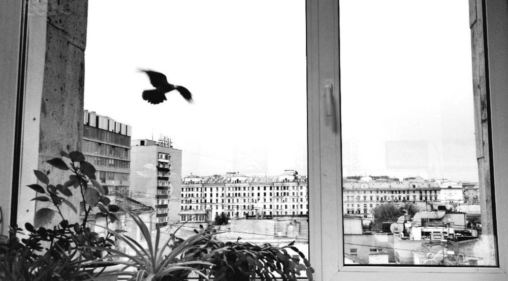 Photograph by Елена Эйнова