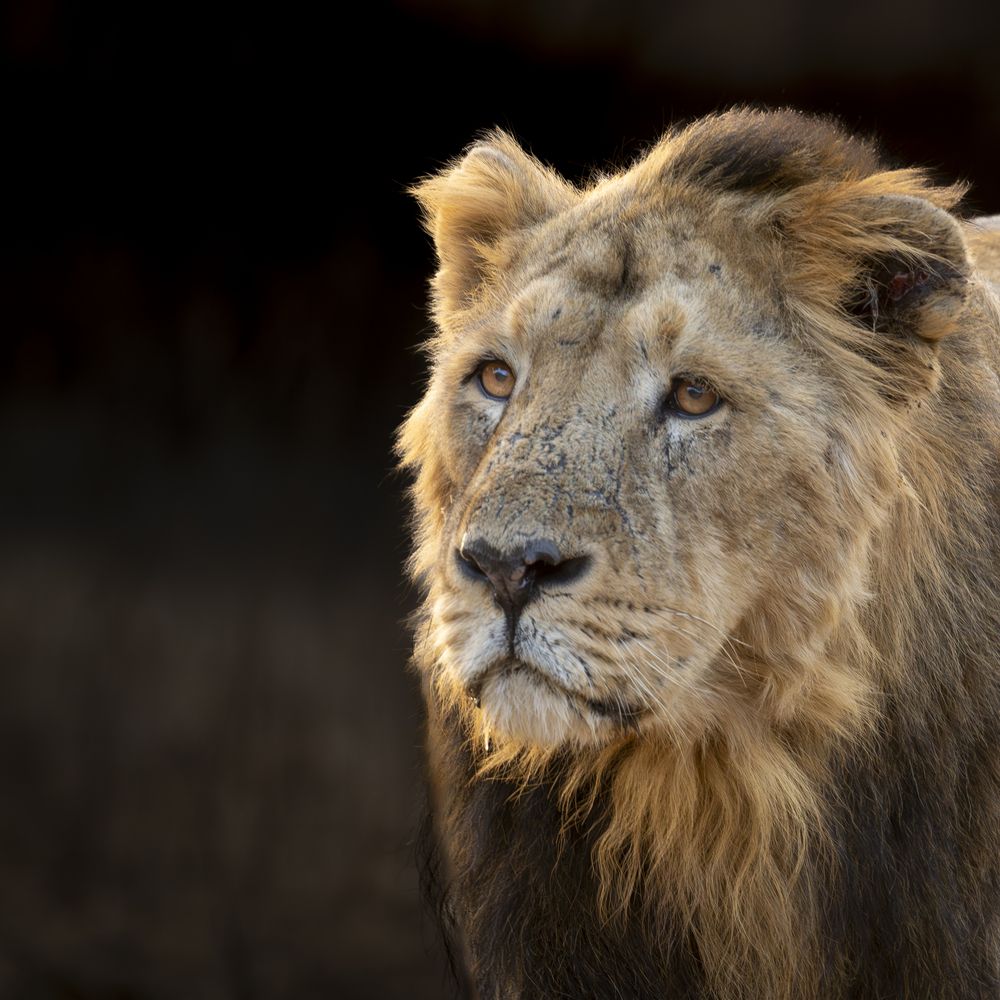 Photograph by Pramod Bayya