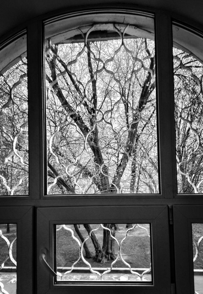 Photo #13520177