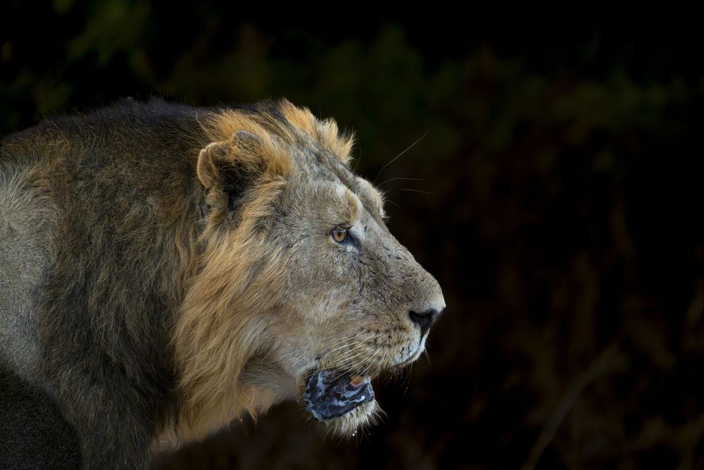 Photograph by Pramod Bayya