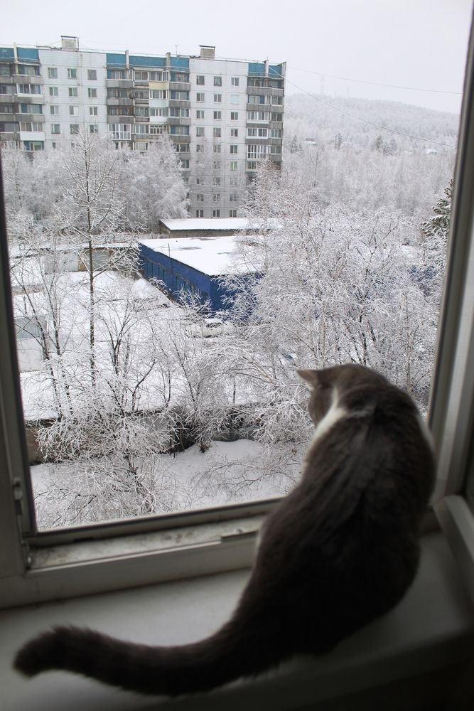 Photograph by Михаил Мархинин