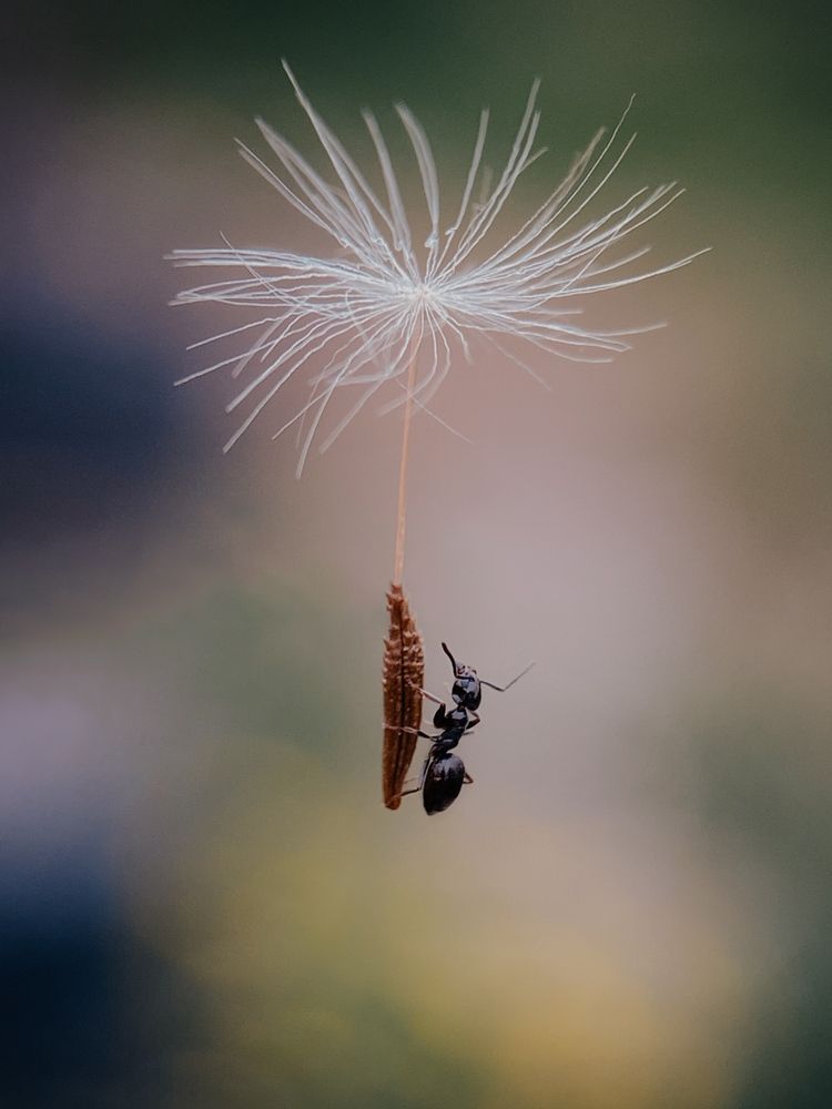 Photograph by Андрей Васильев