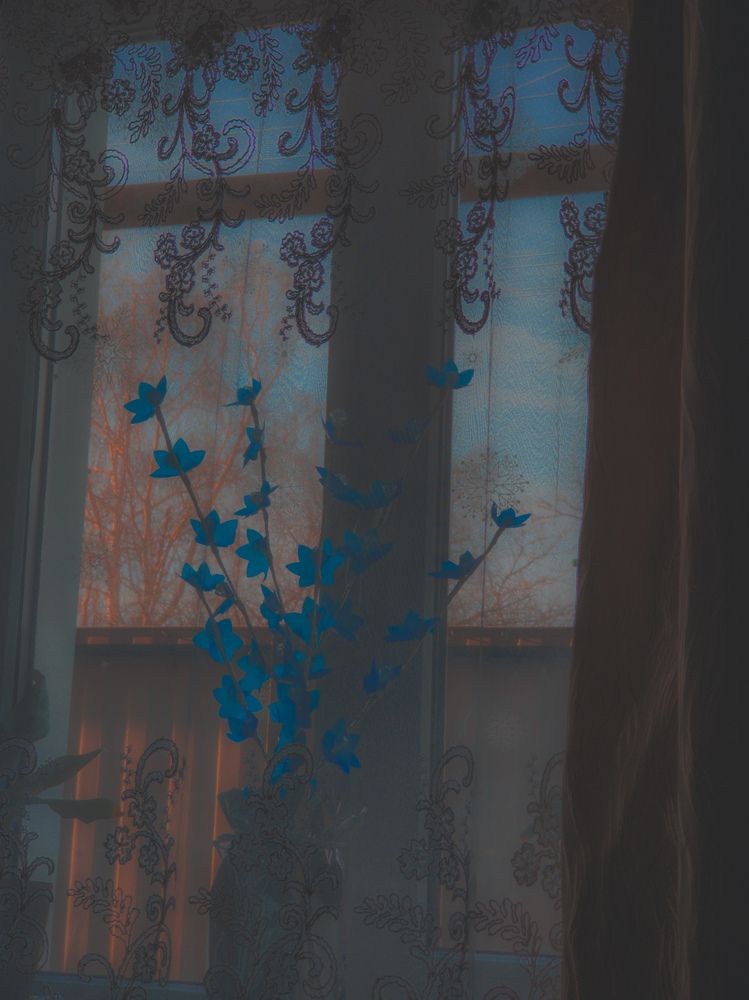 Photograph by Сергей Пыдык