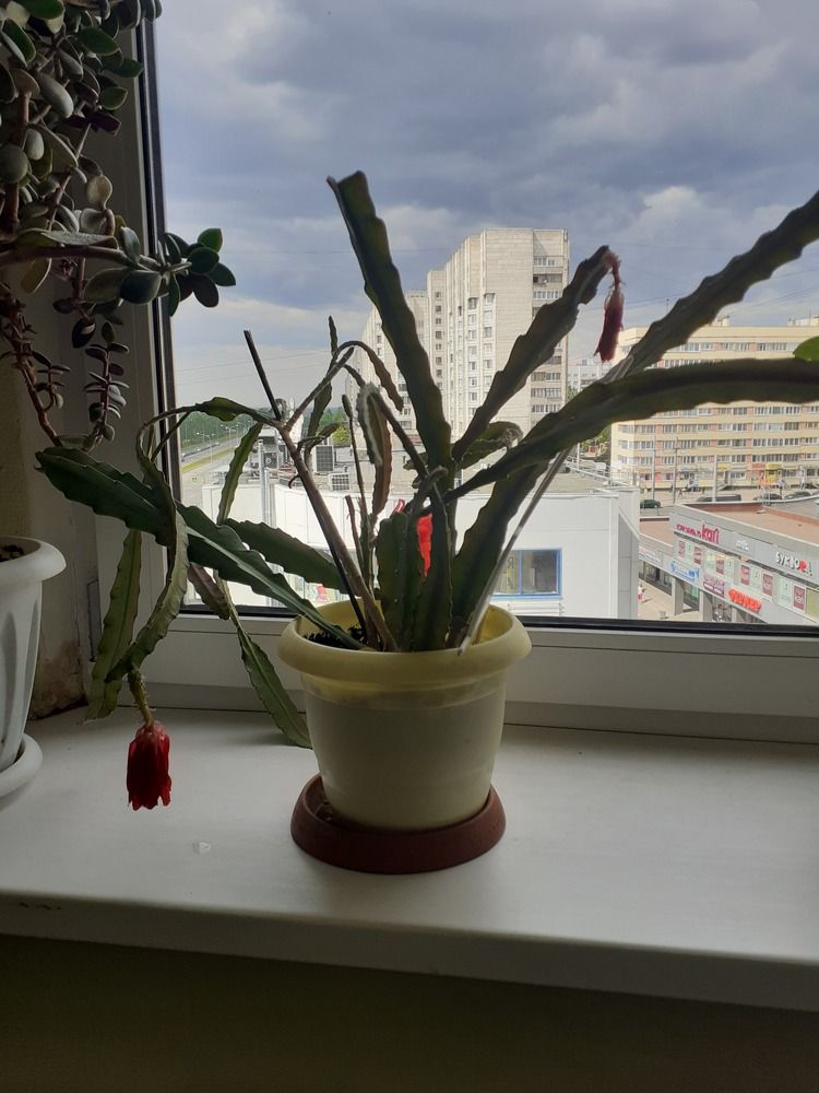 Photograph by Надежда Спорынева