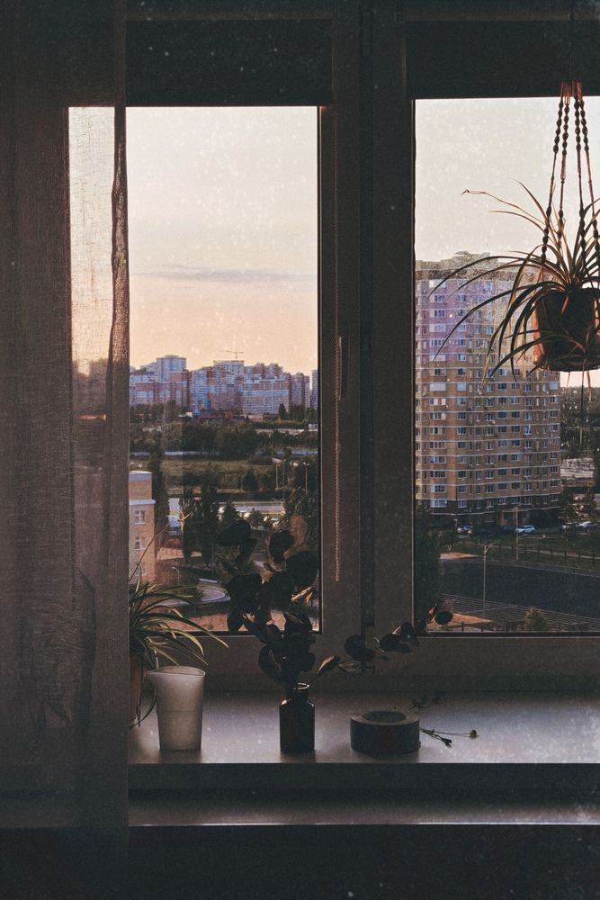 Photograph by Ольга Стебенева