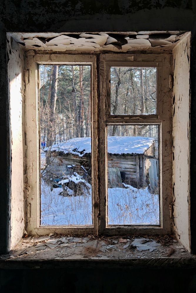 Photograph by Ольга Стебенева