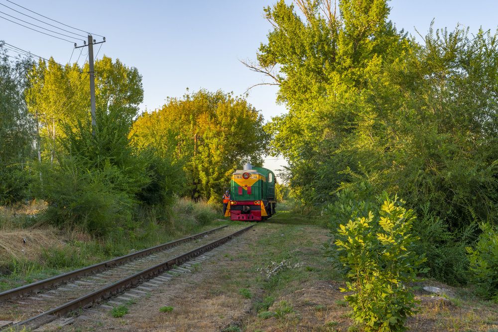 Photograph by Александр Шульга
