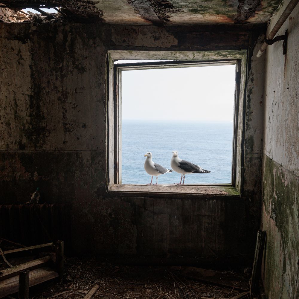 Photograph by Денис