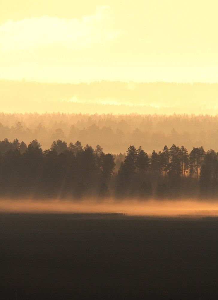 Photograph by Татьяна Шебаршенко