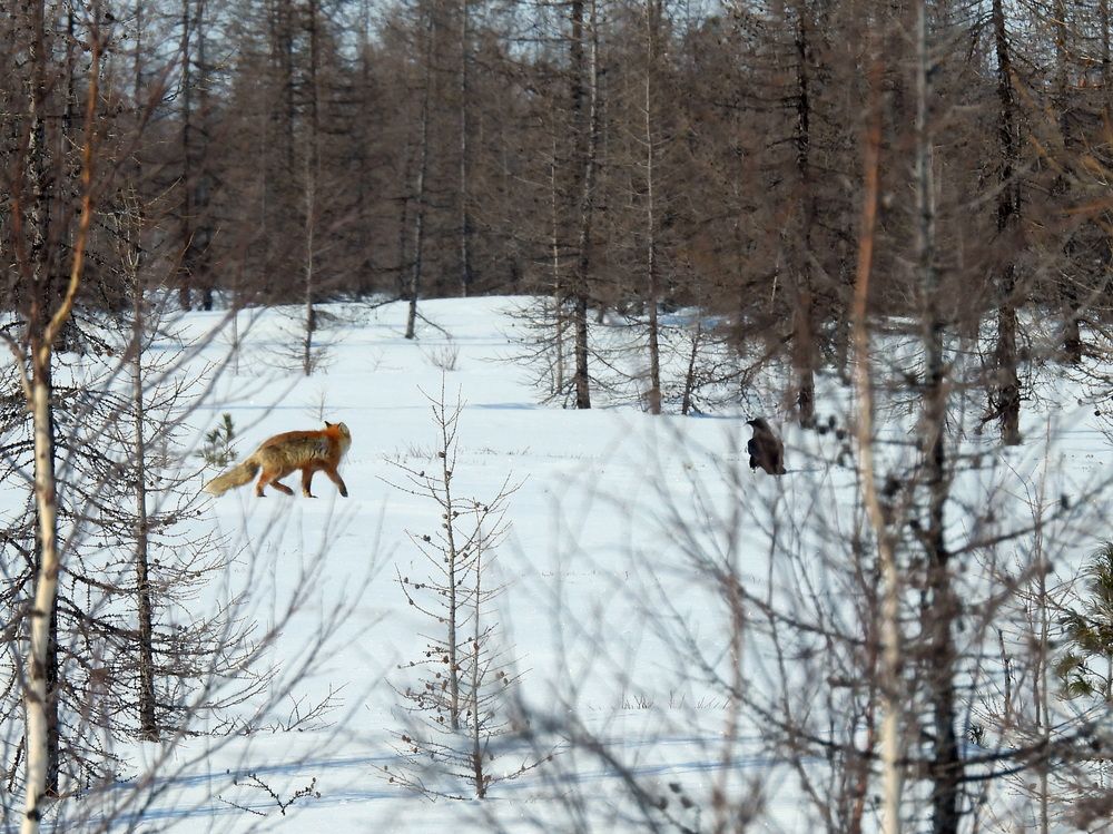 Photograph by Мария Черница