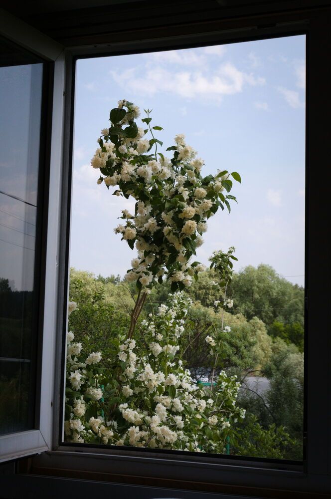 Photograph by Шамина Вера