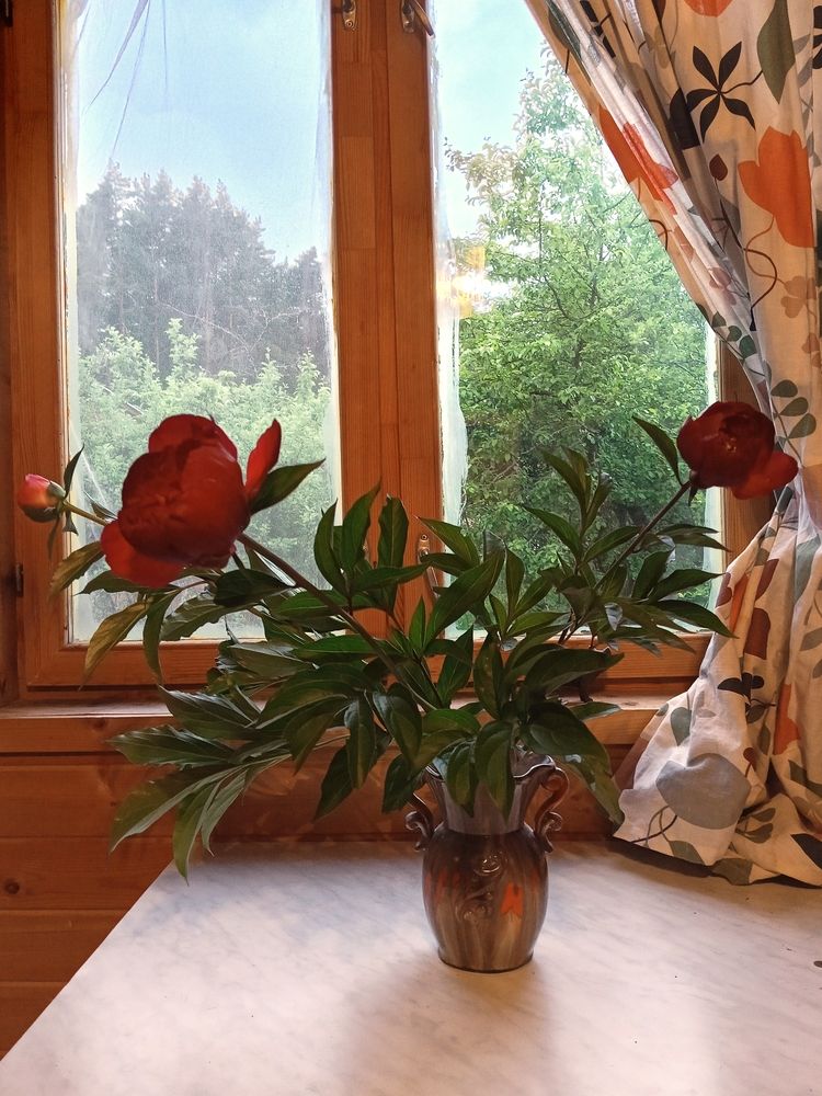 Photo #13521083