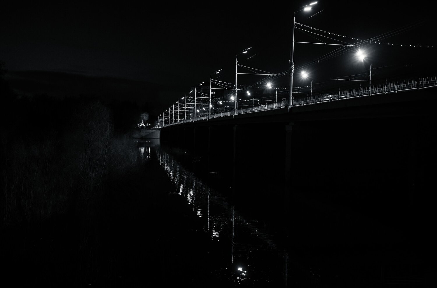 Photo #13521129