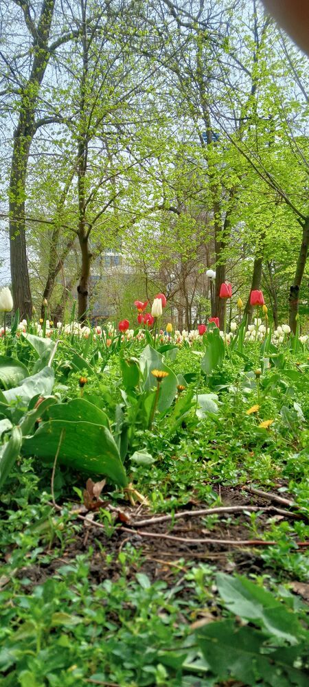Photograph by Ирина Рягузова